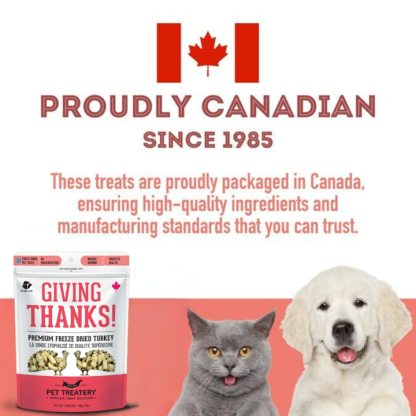Turkey Freeze-Dried Pet Treats by The Granville Island Pet Treatery - Image 8