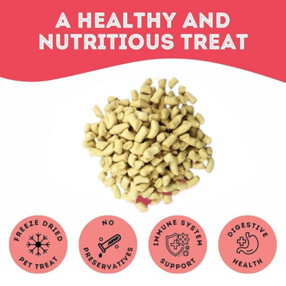 Turkey Freeze-Dried Pet Treats by The Granville Island Pet Treatery - Image 6