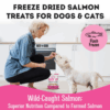 The Granville Island Pet Treatery Wild Salmon Freeze-Dried Pet Treats - Image 3