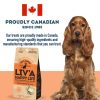 The Granville Island Pet Treatery Grain-Free Dog Biscuits – Pork Liver - Image 6