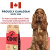 The Granville Island Pet Treatery Grain-Free Dog Biscuits – Bacon - Image 6