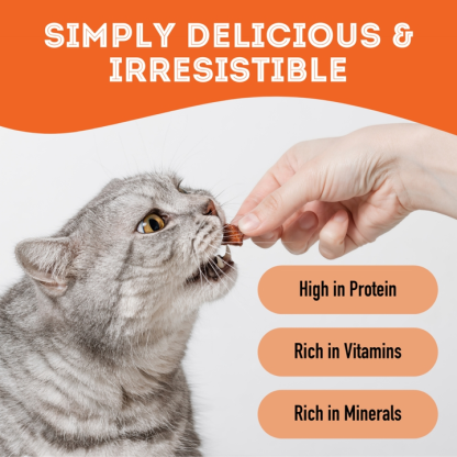 Pumpkin Dehydrated Pet Treats by The Granville Island Pet Treatery - Image 7