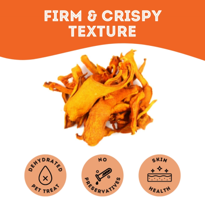Pumpkin Dehydrated Pet Treats by The Granville Island Pet Treatery - Image 5