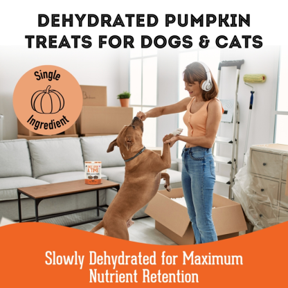 Pumpkin Dehydrated Pet Treats by The Granville Island Pet Treatery - Image 6