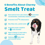 Charmy Air-Dried Lake Smelt Treats for Dogs &amp; Cats - Image 2