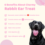Charmy Air-Dried Rabbit Ear Treats for Dogs - Image 2