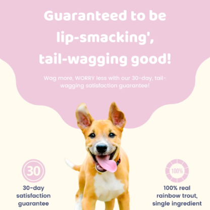 Naturally Satisfying: Air-Dried Rabbit Ear Pet Treats - Image 3