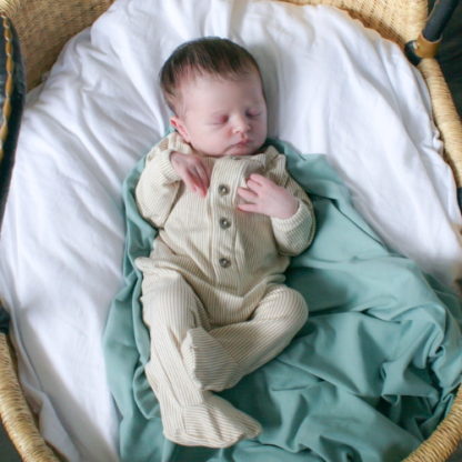 Everett - Butter Blanket - Image 3