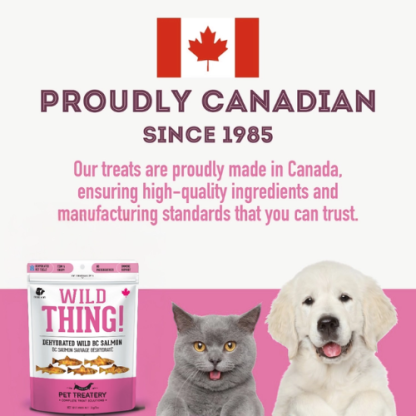 Wild Salmon Dehydrated Pet Treats – Omega-3 Rich, Single Ingredient (85g) | The Granville Island Pet Treatery - Image 7