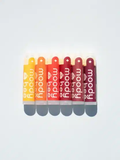 Moody Bee – Fruit Stand Lip Balm Collection (6 Pack)
