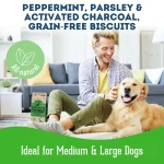 Every Day is Toothday – Mint & Parsley Dog Biscuit Treats (1 lbs) - Image 2
