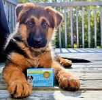 Nova Scotia Fisherman Pet Bar – Natural Dog Shampoo Bar - Image 2