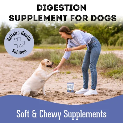 Soft & Chewy Digestion Supplement for Dogs – Hemp & Omega Support - Image 2