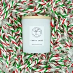 Coconut Candle Company - Candy Cane