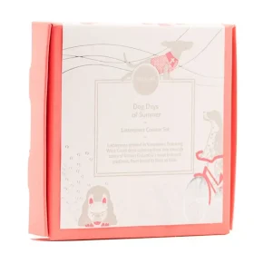 Eight pack of Porchlight Press Dog Days of Summer letterpress coasters showcasing four dog designs in coral box