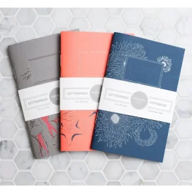 Set of three Porchlight Press Aquatic Series pocket notebooks displaying the Orca, Octopus, and Salmon designs